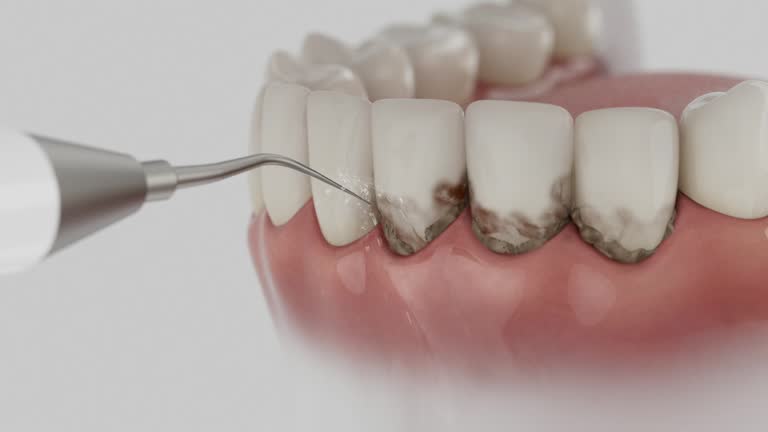 Reliable Dental contractor in Houghton County County, MI by Dentist Open Now